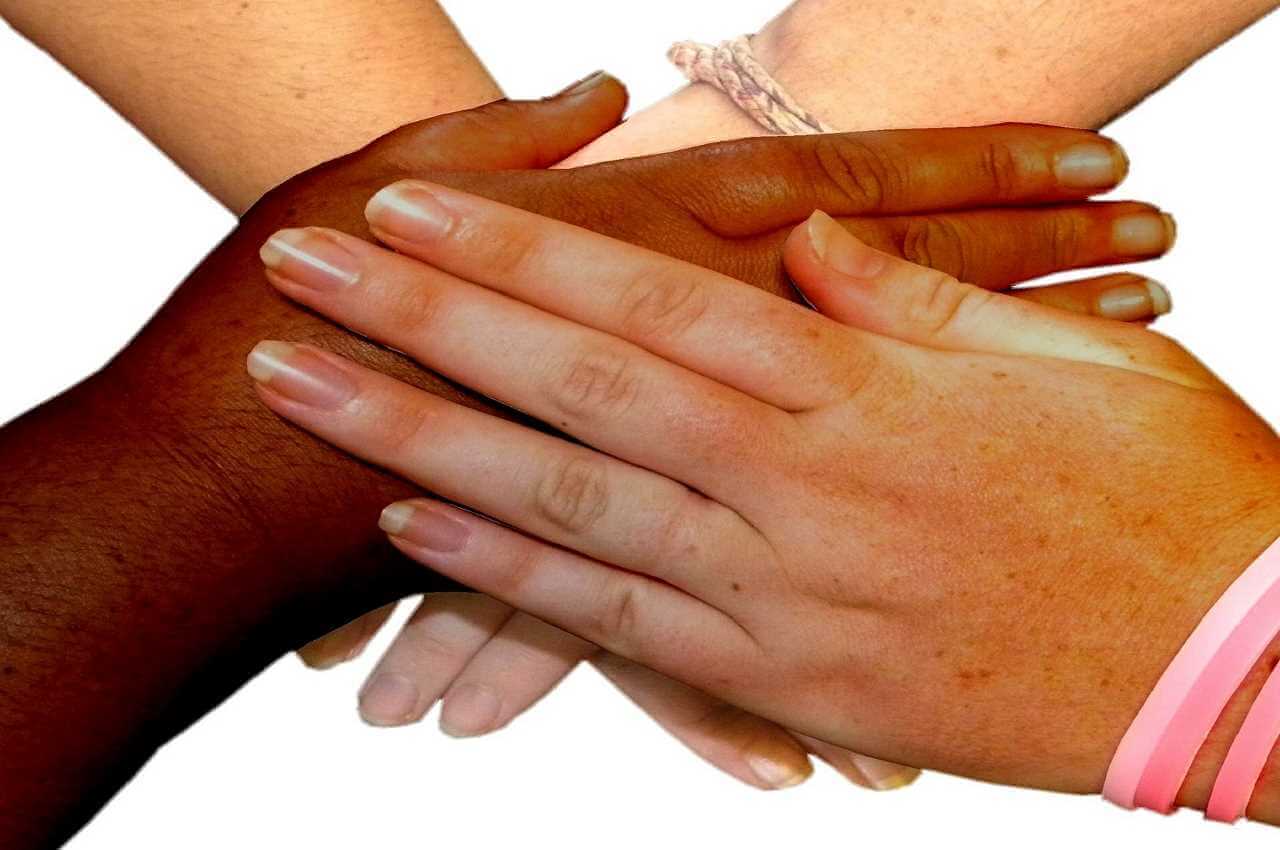 Non Profit Oraganizations Have Training Needs, Too!