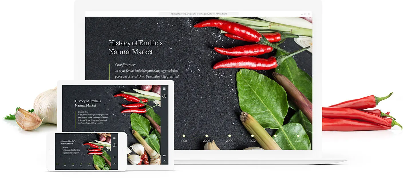 Articulate Storyline 360