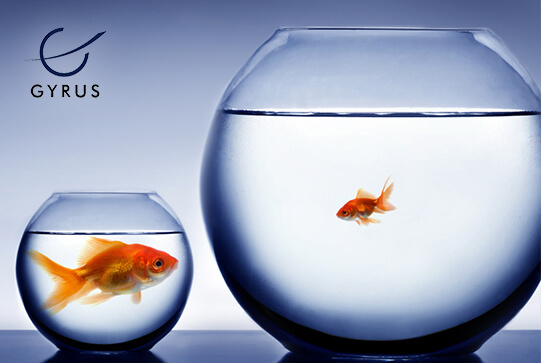When Selecting an LMS - Small Company vs. Big Corporation?
