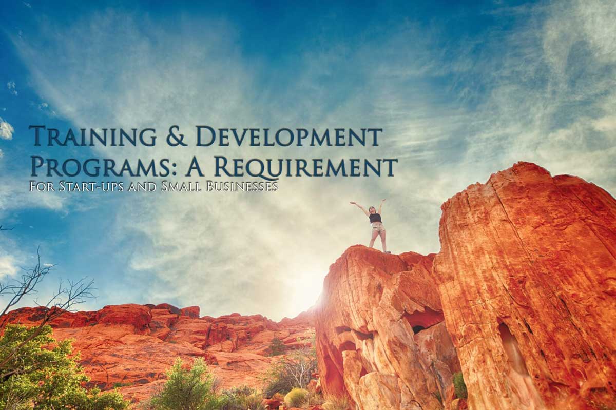 The Importance of Training and Development for Start-ups